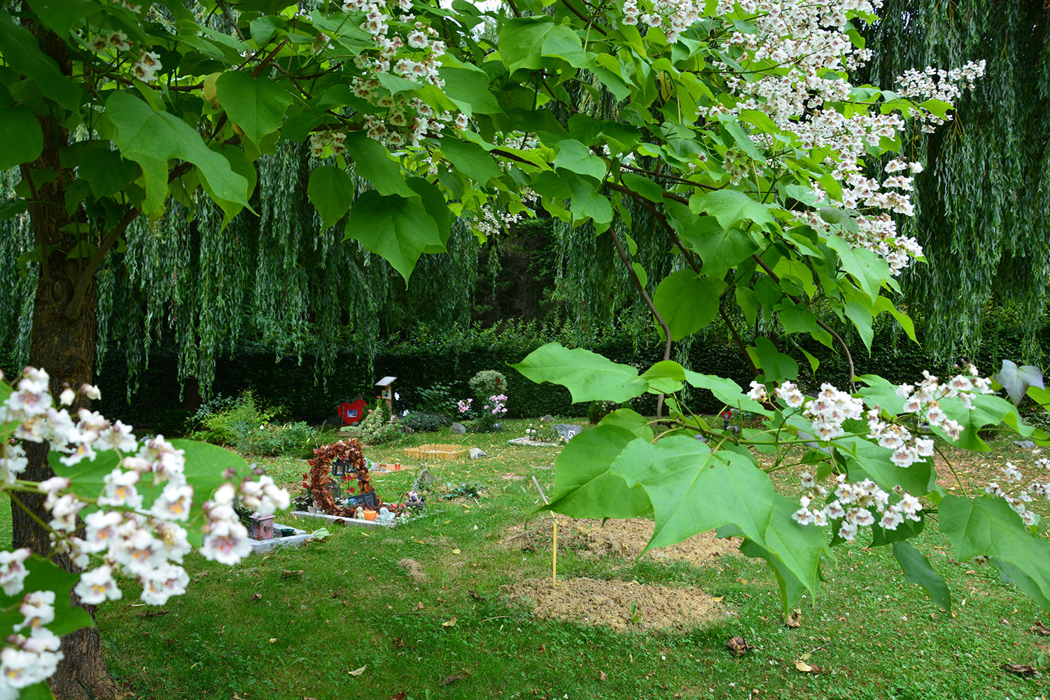  Ansicht Friedhof