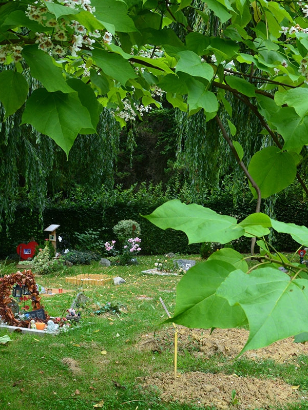  Ansicht Friedhof