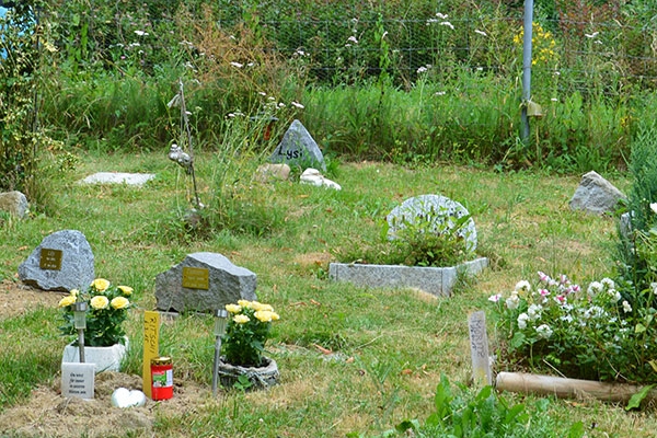 Ansicht mehrerer Gräber